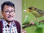 REKAM Jejak Dharma Oratmangun, Ketua LMKN Disorot Usai Kafe Putar Suara Burung Bayar Royalti