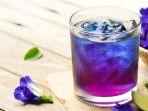 Resep-es-soda-bunga-telang.jpg