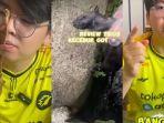 SOSOK-Tiktoker-Danceuobob-Review-Makan-Tikus-Got-Goreng-Pernah-Bikin-Konten-Pangsit-Cicak-Kelabang.jpg