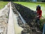 Saluran-Irigasi-di-Sergai.jpg