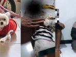 TAMPANG-4-Remaja-di-Jember-Siksa-Anjing-Sampai-Mati-Pelaku-Malah-Tertawa-Kondisi-Viki-Mengenaskan.jpg