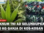 TNI-AD-selundupkan-50-kg-ganja.jpg