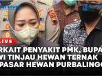 Terkait-penyakit-PMK-Bupati-Tiwi-Tinjau-Hewan-Ternak-di-Pasar-Hewan-Purbalingga.jpg