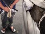 Tikus-Got-Masuk-Celana.jpg