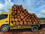 Truk-Muatan-Kayu-Ilegal-Logging.jpg