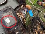 Hampir Sebulan, Hasil Autopsi Kerangka Manusia dalam Pohon Aren Belum Rampung