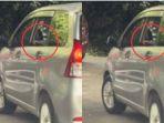 VIRAL-Pengunjung-Taman-Safari-Nekat-Buka-Kaca-Mobil-di-Area-Singa-tak-Acuh-Dikasih-Peringatan.jpg