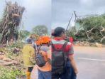 VIRAL-Video-Pohon-Beringin-Tua-Berdiri-Lagi-Usai-Ditebang-Warga-Sebut-Pohon-KeramatFaktanya-Begini.jpg