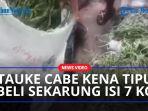 Viral-tauke-cabe-kena-tipu.jpg