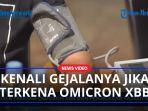 Virus-corona-penyebab-Covid-19-subvarian-Omicron-XBB.jpg