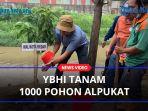 YBHI-Tanam-300-Pohon-Alpukat-di-Bantaran-Sungai.jpg