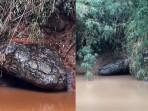 batu-ular-raksasa-di-Thailand.jpg