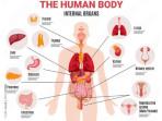 body-part.jpg