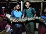 buaya-di-sungai-deli-ditangkap.jpg