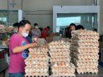 harga-telur-naik-di-Kota-Medan.jpg
