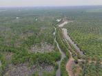 hutan-mangrove-langkat-rusak-parah.jpg