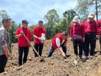 jagung-untuk-petani-kecil-sebagai-wujud-komitmen-partai-terhadap-kedaulatan-pangan.jpg