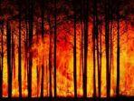 kebakaran-hutan_berita-viral_petugas-damkar_.jpg