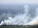 kebakaran-lahan-di-riau-tribunnews.jpg