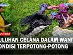 menemukan-puluhan-celana-dan-pakaian-dalam-wanita_.jpg