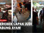 menggerebek-lapak-judi-sabung-ayam-di-Desa-Paya-Bakung.jpg