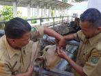 pasar_ternak_asahan.jpg