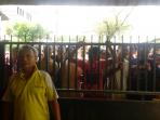 pencuri-di-jalan-bunga-asoka-medan-sunggal_20160129_131624.jpg