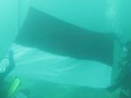 pengibaran-bendera-merah-putih-di-dasar-laut-sabang-tribun_20160816_225018.jpg