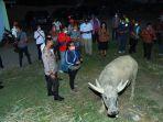 penyemprotan-diisinfektan-hewan-ternak-yang-akan-dijual-ke-luar-daerah-Samosir.jpg