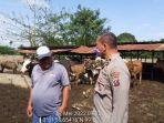 polisi-cek-penyakit-mulut-dan-kuku-ternak.jpg