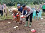 program-ketahanan-pangan-nasigfd.jpg