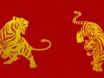 ramalan-shio-hari-ini-20-november-2025-shio-macan.jpg