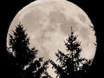 medan/supermoon-terlihat-di-austria-10-agustus-2014_20161114_181929.jpg