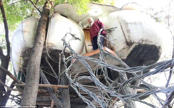 Petapa Ini Hindari Kehidupan Kota, Bangun Rumah Teko di Hutan - SENIMAN_CHINA.jpg