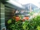 IMG00114-20120626-1014.jpg