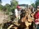 IMG01897-20120712-0920.jpg