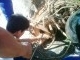 IMG01899-20120712-0921.jpg