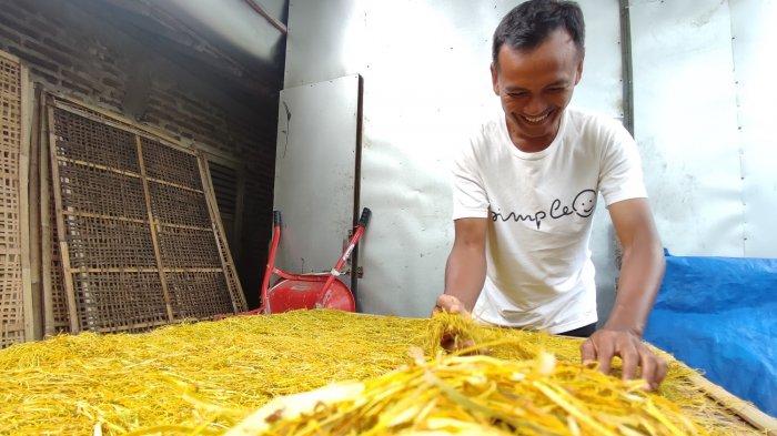 Kembangkan Daun Talas Menjadi Rokok, Agus Subekti Sudah Kirim Sampai Australia - Proses-penjemuran-setelah-pemotongan-daun-talas.jpg