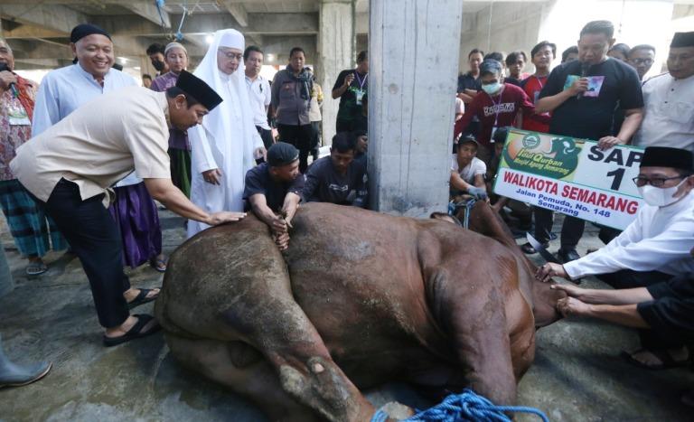 Wali Kota Hendi Serahkan Hewan Kurban ke Masjid Agung Semarang