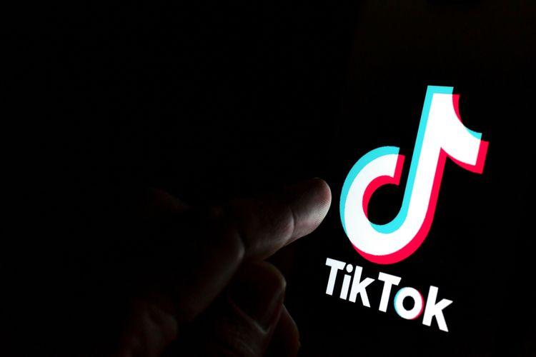 Ilustrasi-pemilik-ponsel-menggunakan-TikTok.jpg