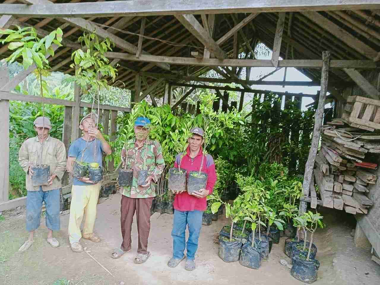 Wujudkan Lingkungan Hijau yang Produktif, PLN UIP JBT Berikan Bantuan 926 Bibit Pohon