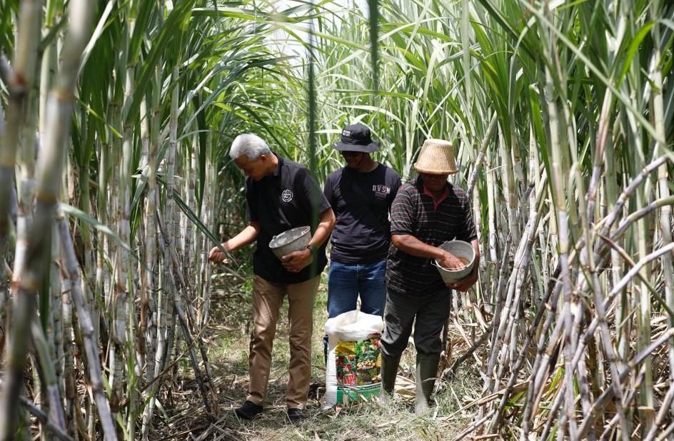 ganjar-pupuk-petani-tebu.jpg