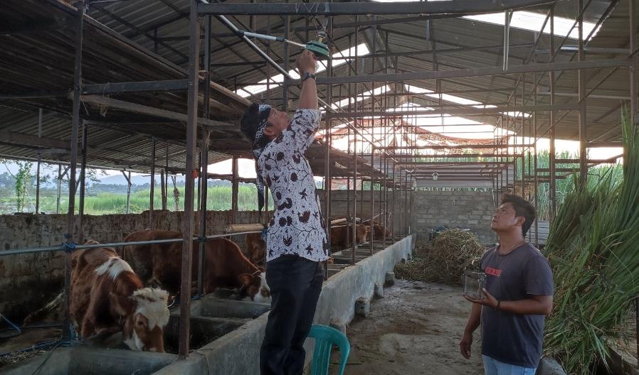 Cerita Kades Kadirejo Kabupaten Semarang Olah Kotoran Sampi Jadi Lampu Biogas dan Pupuk Kandang