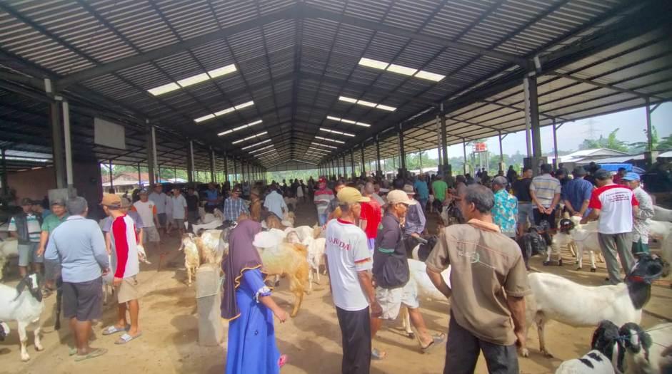pasar-hewan-pon-bangsri-kambing-pasar-kambing.jpg