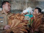 Bupati-Blora-Arief-Rohman-saat-menilik-potensi-tembakau.jpg