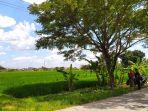 Poltekpar-sragen-52.jpg