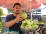 Berkunjung ke Kebun Buah Agro Cepoko Semarang, Ada Panen Raya Jambu Kristal