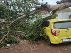 ayla-kuning-ayka-ringsek-mobil-ringsek-tertimpa-pohon-tumbang.jpg