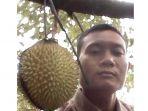 edi-sulton-durian-petruk.jpg
