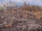 kebakaran-hutan-dan-lahan-gunung-sumbing.jpg